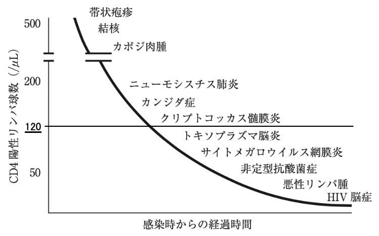 解説画像